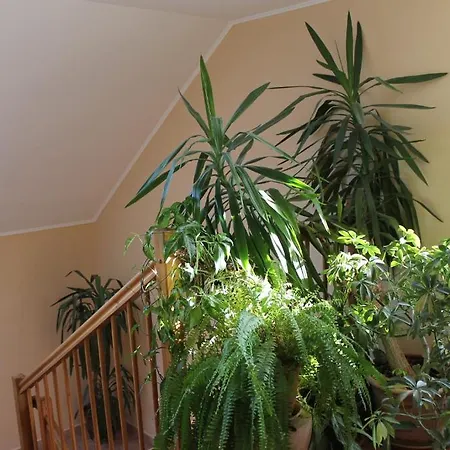 Bed & Breakfast Bajor Panzio Kecskemet