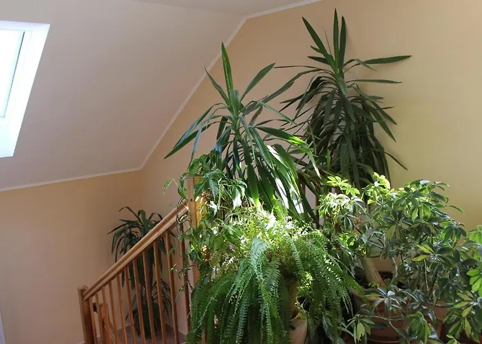 Nocleg ze śniadaniem Bajor Kecskemét